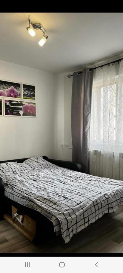 براشوف Zenapartment المظهر الخارجي الصورة