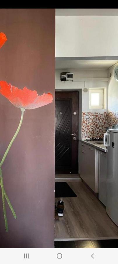 براشوف Zenapartment المظهر الخارجي الصورة